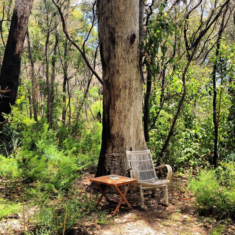 Wilderness House Bed & Breakfast Margaret River Room photo